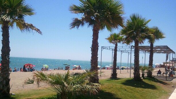 Ein Strand mit Palmen, einer Schaukel und entspannten Menschen.