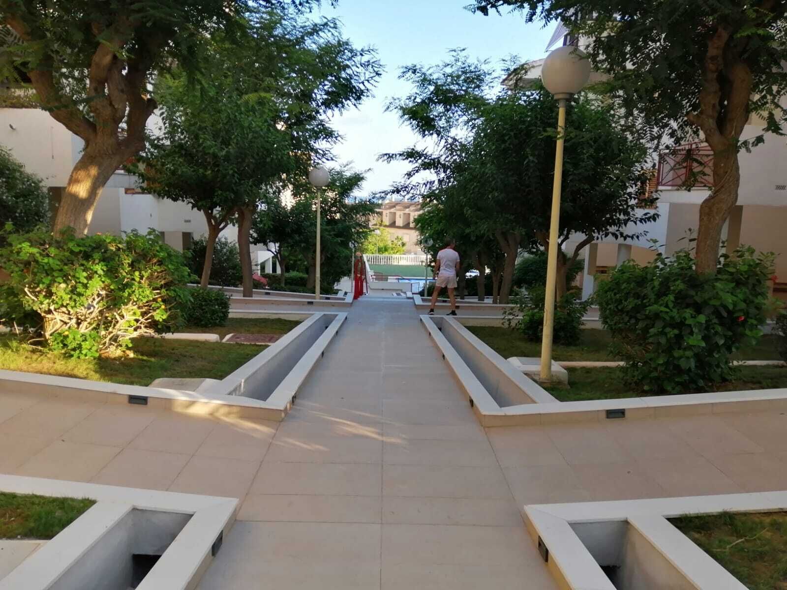 A pathway flanked by trees and bushes, leading to a building with a white facade.