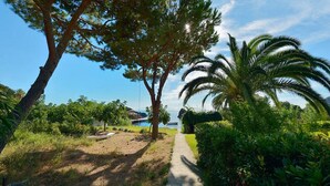 A pathway leading through a lush garden with a palm tree and a large tree, towards a body of water. - Cottage by the Sea in Cartaromana Bay, with a View of Aragonses Castle  (Ischia)