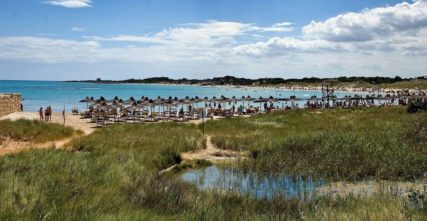 Une plage avec des chaises longues et des parasols, un ciel dégagé et une étendue d’eau.