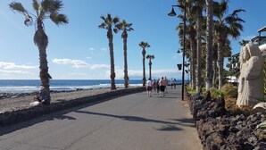 Un camino pavimentado con palmeras y un muro de piedra que lleva a una playa.