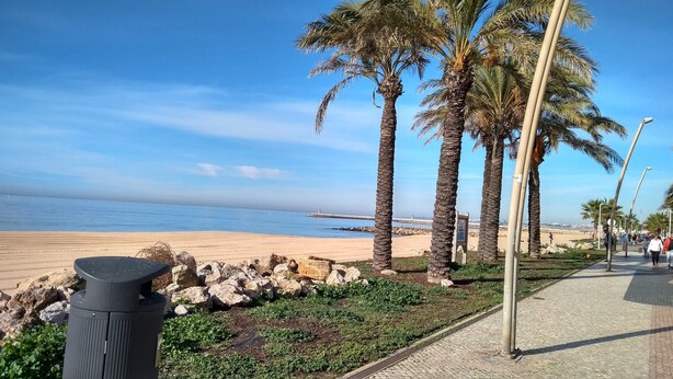 Une plage bordée de palmiers, une promenade dallée et une zone rocheuse parsemée de plantes.