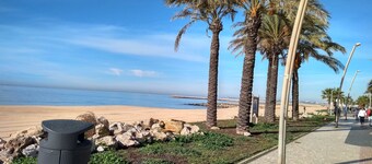 Spacious 1-bedroom apartment with barbecue