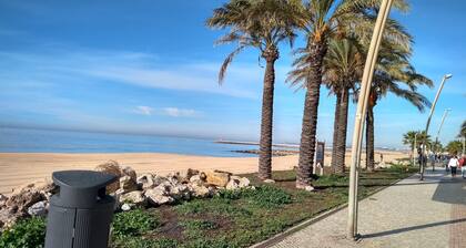 Spacious 1-bedroom apartment with barbecue