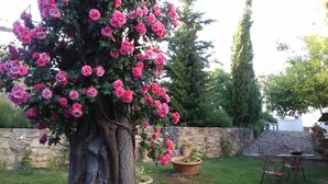 Un jardin avec un grand arbre aux fleurs roses, un mur de pierre et une petite table entourée de chaises.