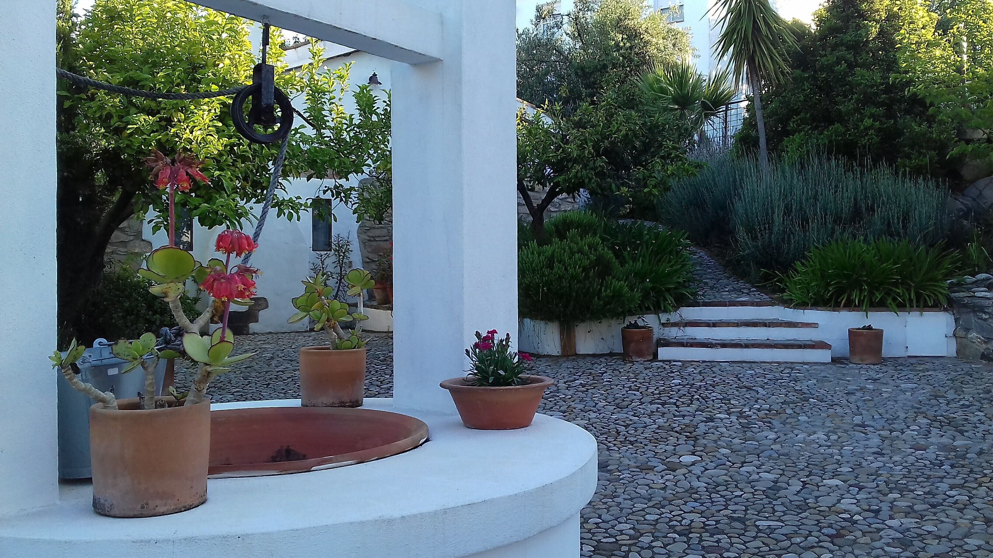 Un jardin agrémenté de plantes en pot et d’un chemin pavé de pierres.