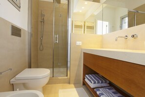 Combined shower/tub, hair dryer, bidet, towels