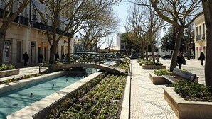 A courtyard with a pool, benches, and trees. - Fully equipped air-conditioned apartment in central Setúbal (Setúbal)