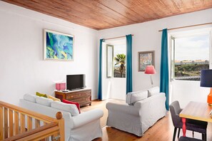 Smart TV, chimenea, reproductor de DVD y libros 