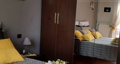 SUNFLOWER HOUSE RIPAMONTI IEO (CIR: 015146-CNI-00874)