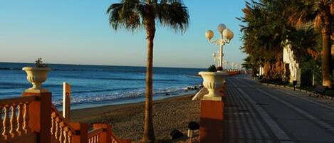 Un paseo marítimo con palmeras, una playa y cielo despejado.