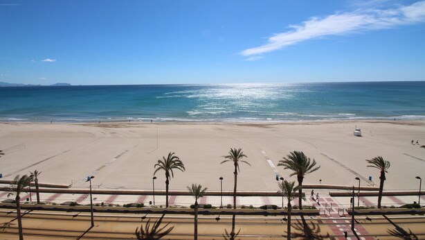 A beach with a clear sky, palm trees, and a sandy shore. - LOFT PLAYA MUCHAVISTA (El Campello)