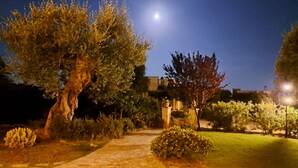 A nighttime garden with a stone pathway, trees, and a building in the background.