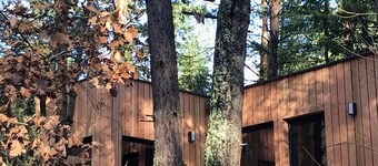 Nature, Well-being, Luxury and Chic in the trees near COLMAR