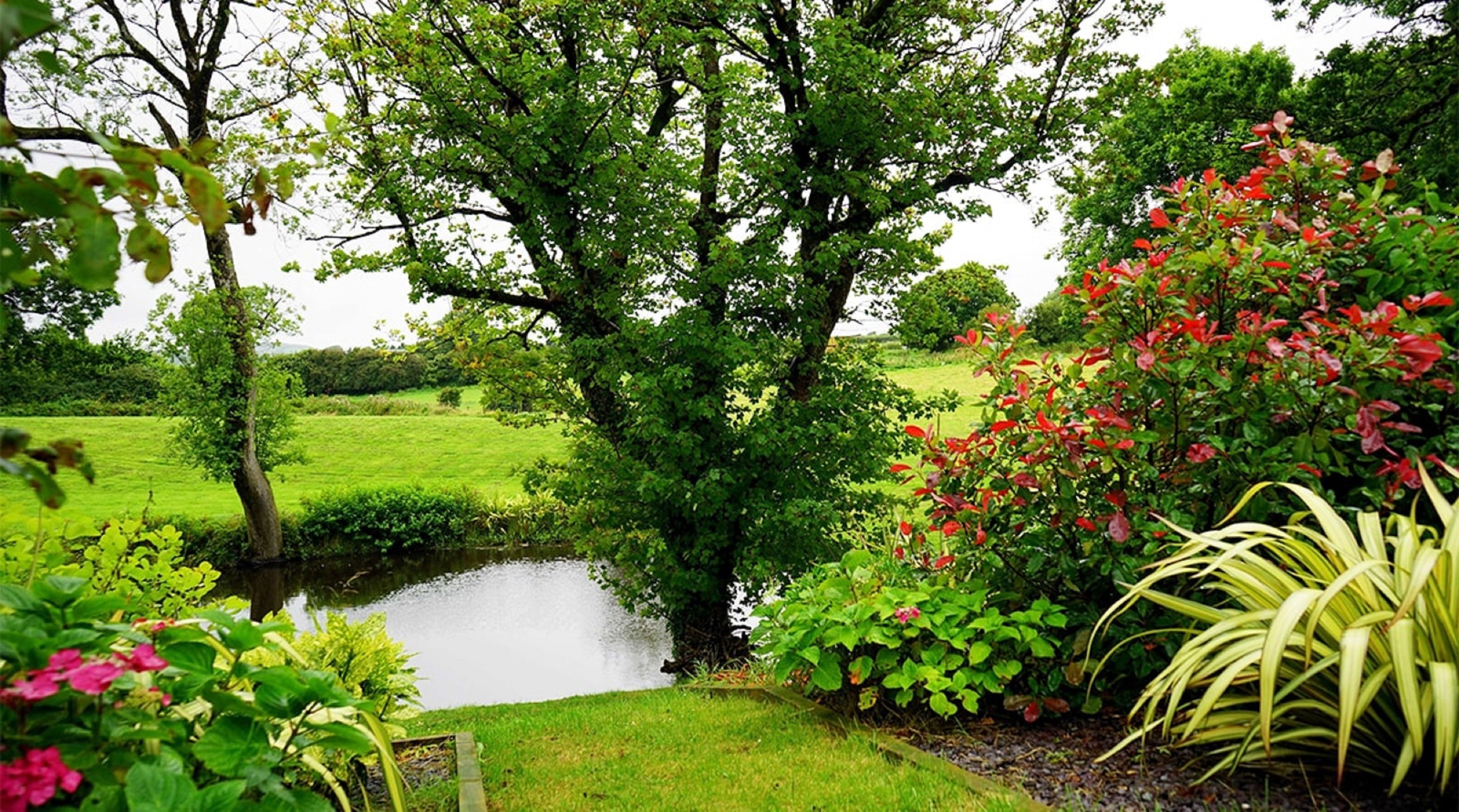 Jardín