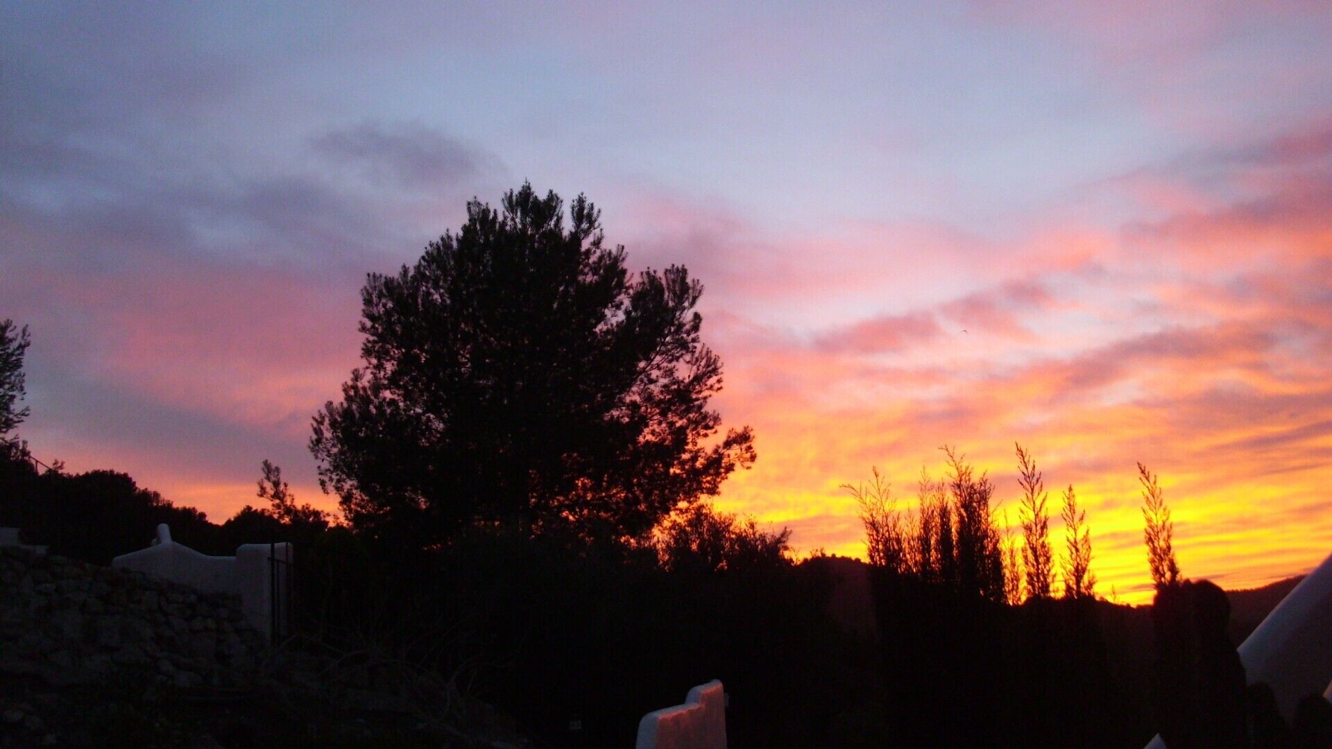 Atardecer con siluetas de árboles y un muro de piedra.