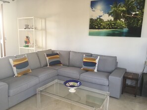 Smart TV, fireplace, DVD player, books