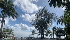 Ein Poolbereich mit Liegestühlen, Palmen und blauem Himmel.