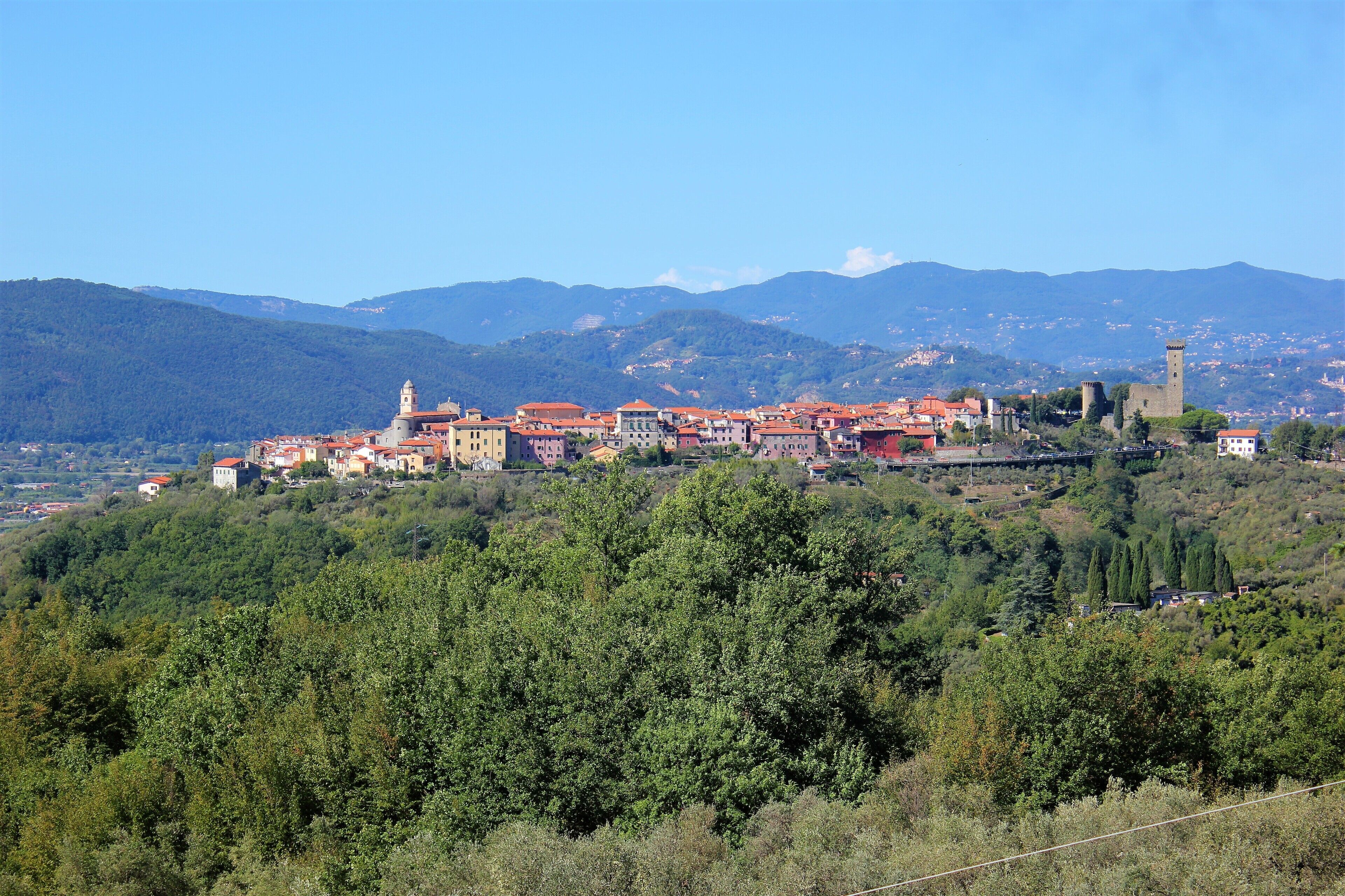 Une ville dotée de bâtiments historiques et d’un imposant beffroi, entourée d’une végétation luxuriante et de collines.