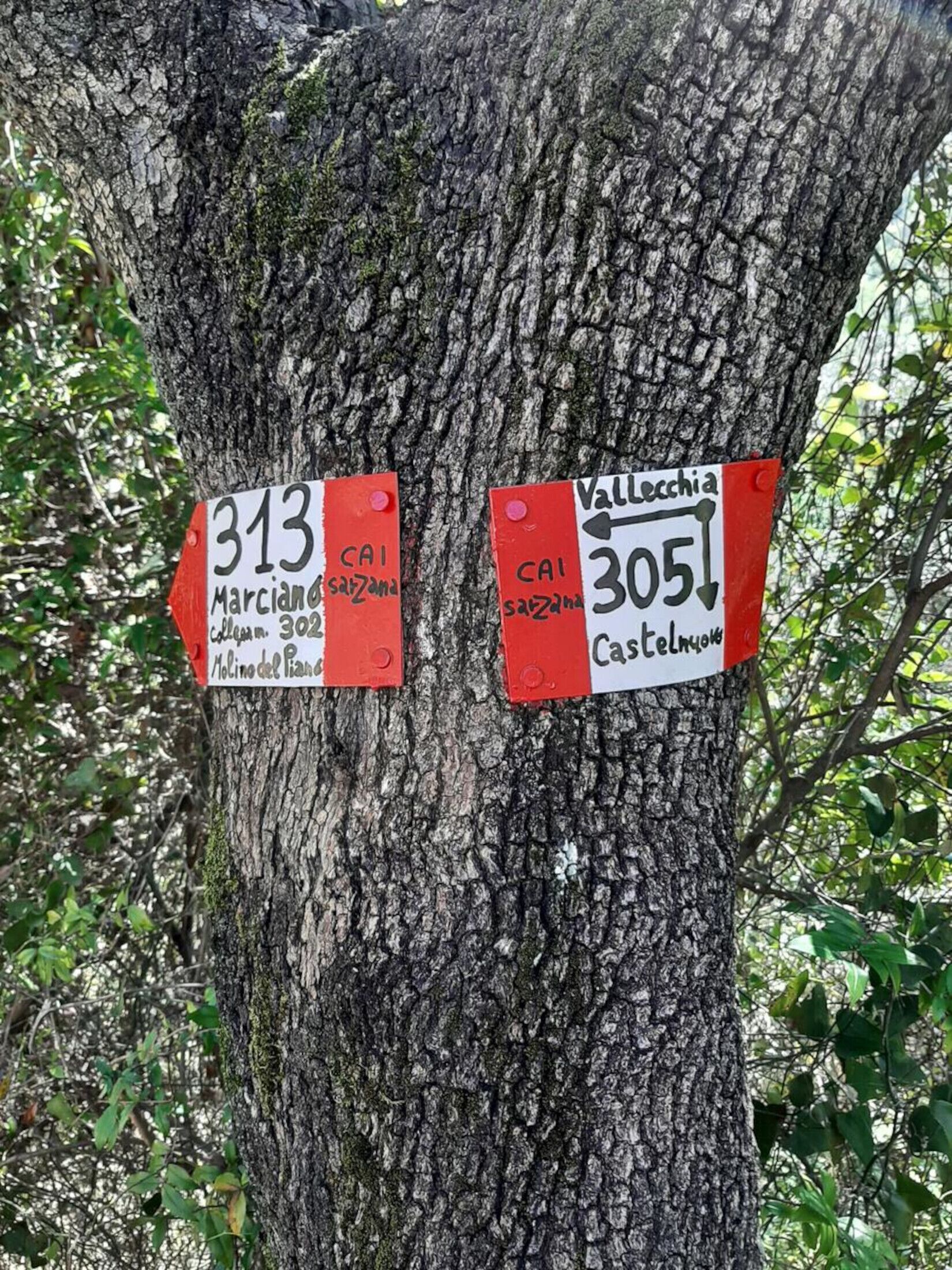 Puuhun on kiinnitetty kaksi kylttiä, joissa on merkitty etäisyydet Marciandolaan ja Castelnuovoon.