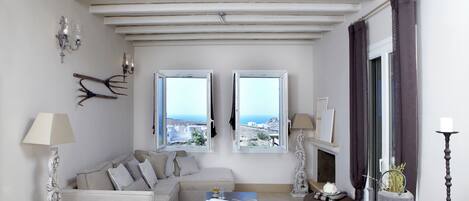 Télévision LCD, cheminée, lecteur de DVD, livres