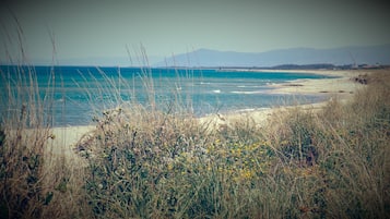 Playa en los alrededores, camastros y toallas de playa