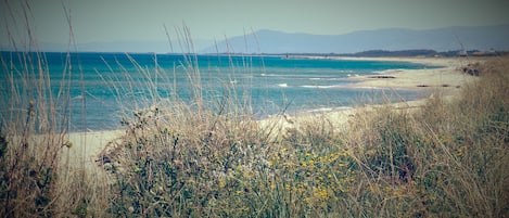Beach nearby, sun loungers, beach towels