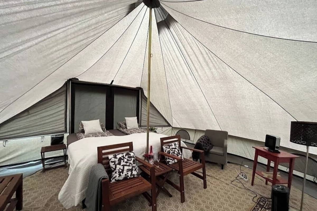A tented accommodation with a bed, two wooden chairs, a small table, and a television.