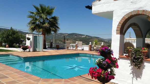 Piscina com vista clara para montanhas ao fundo, uma palmeira e um edifício branco com arcos.