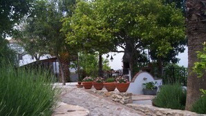 Ein gepflasterter Weg führt durch einen Garten mit großen Terrakottatöpfen und üppigem Grün.