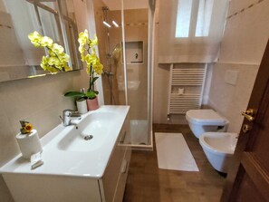 Shower, hair dryer, bidet, towels