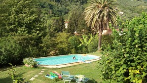 A swimming pool surrounded by lush greenery, with a palm tree and a view of a hilly landscape. - Noble villa for 16 people, with park and pool in Tuscany  (Nocchi)