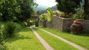 A stone pathway leading to a rustic building with a tiled roof, surrounded by lush greenery and a stone wall. - Noble villa for 16 people, with park and pool in Tuscany  (Nocchi)