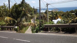 Une route bordée d’un trottoir et d’une barrière de sécurité en métal. Des palmiers et d’autres espèces végétales bordent la route.