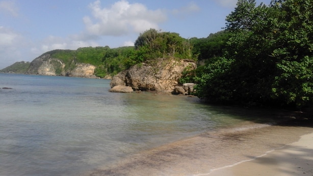 Une plage à l’eau claire, avec un rivage sablonneux et des affleurements rocheux couverts de végétation.