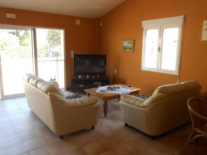 电视、DVD 播放器、书、音乐库