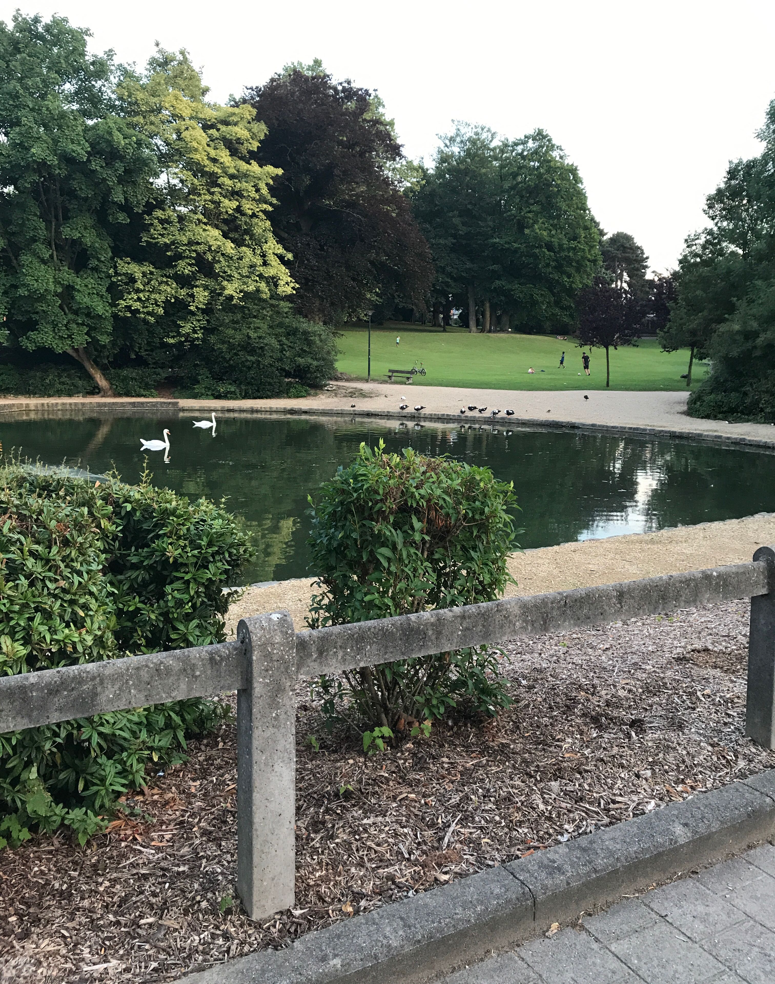 Terrein van de accommodatie