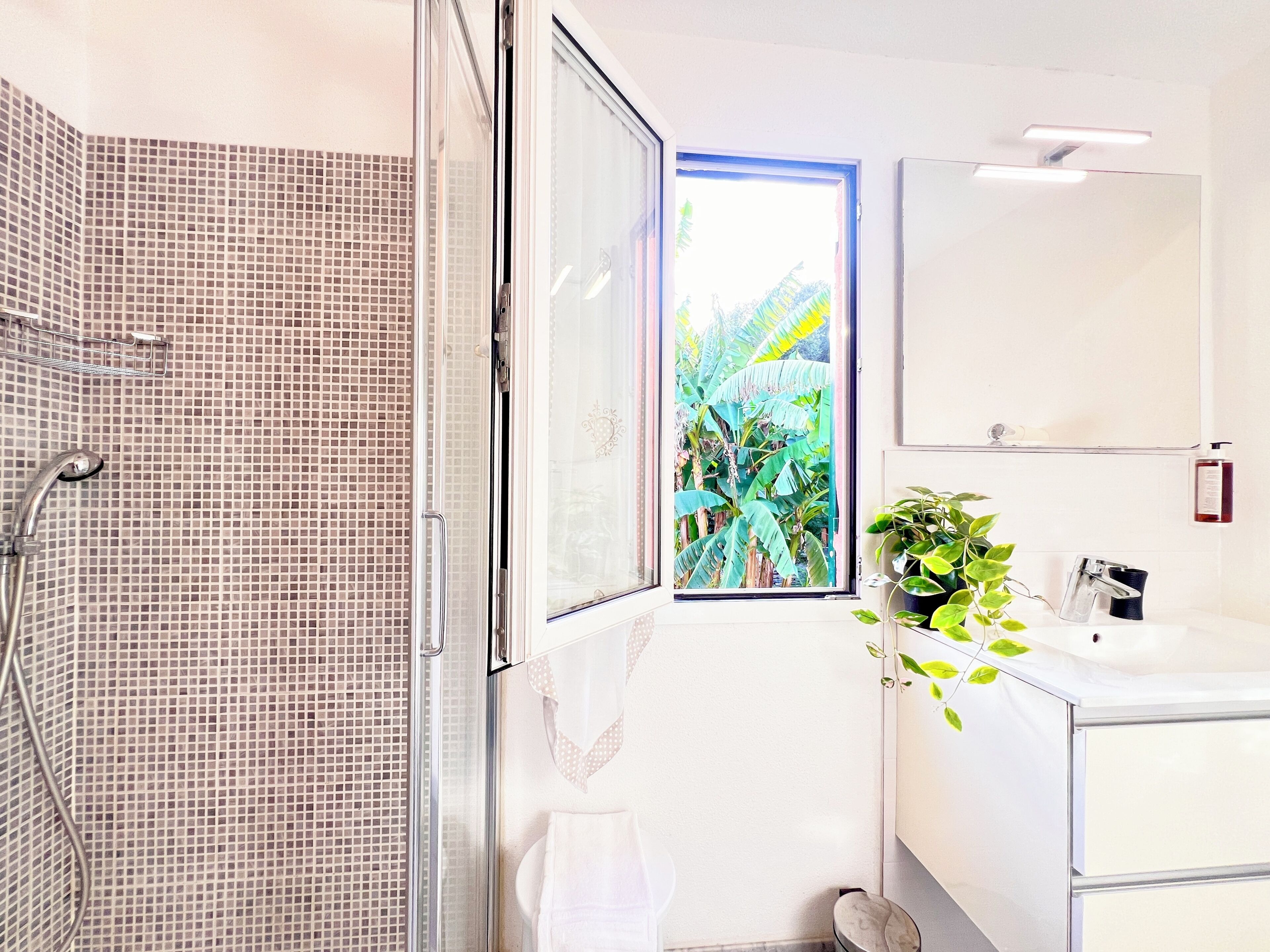 Shower, hair dryer, bidet, towels