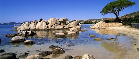 Playa en los alrededores