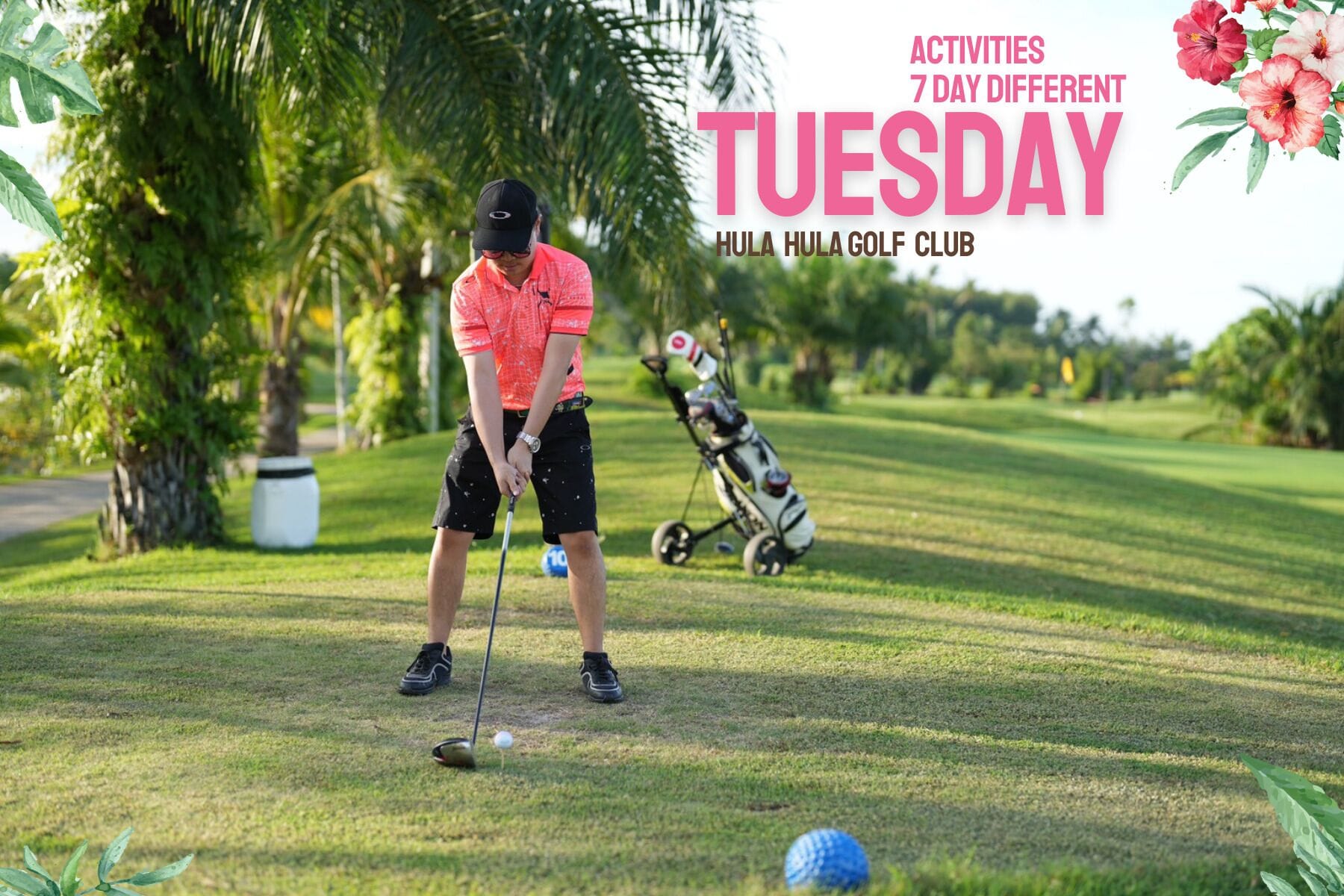 Foto - ROYAL PINEAPPLE HOTEL l a welcome to wealth and good fortune