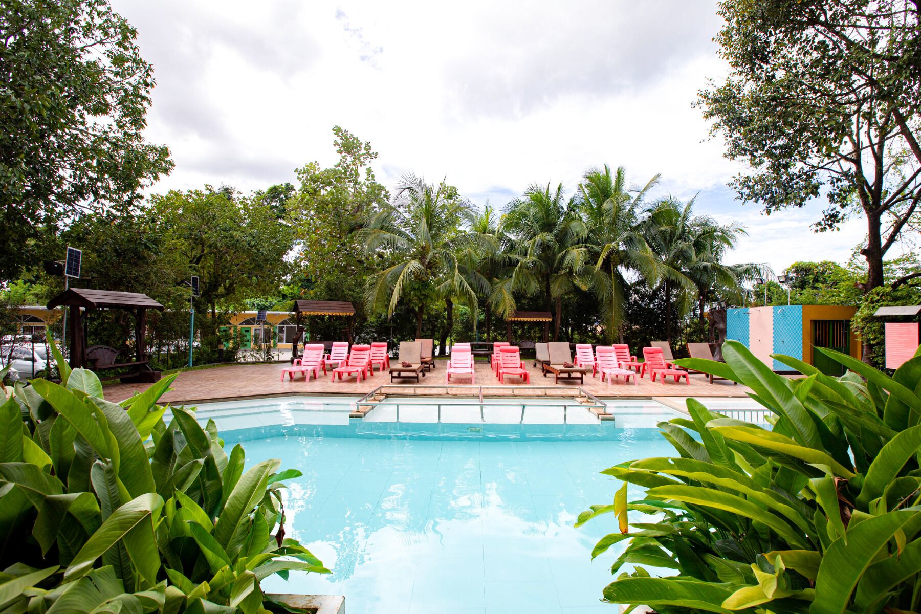 Foto - ROYAL PINEAPPLE HOTEL l a welcome to wealth and good fortune