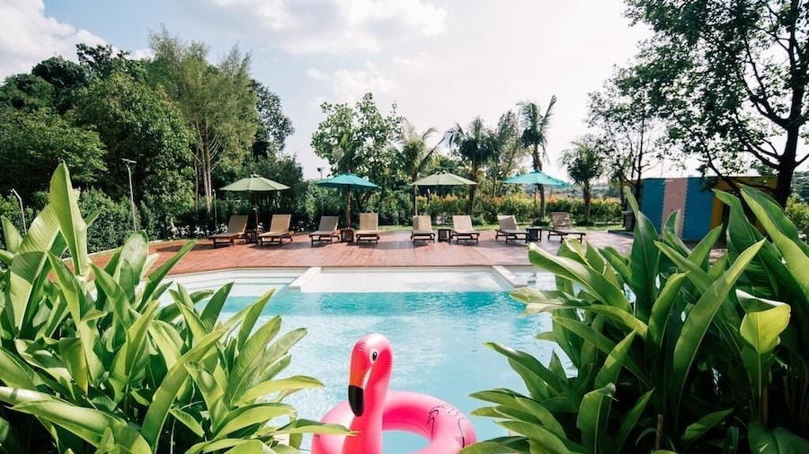 The Pineapple Hotel