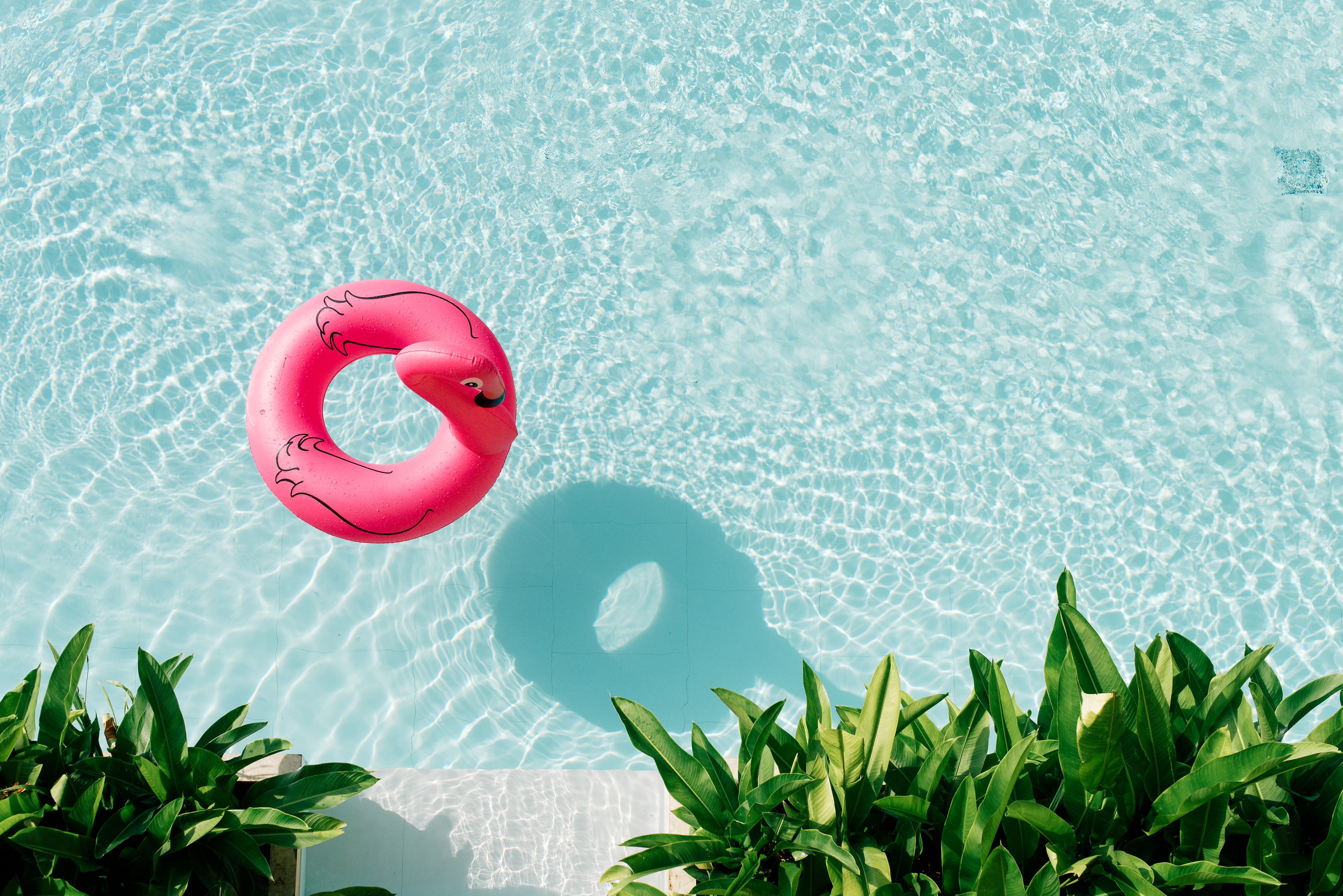 A clear blue pool with a pink inflatable ring.