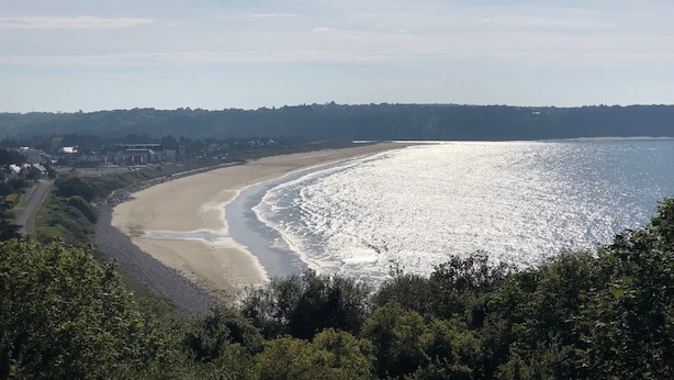 Eine Küstenlandschaft mit Strand, einer Straße und bewaldetem Gebiet.