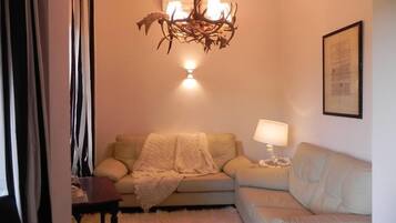 TV connectée, cheminée, livres, chaßne hi-fi