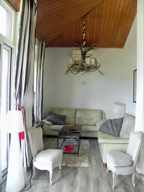 Smart TV, fireplace, books, stereo