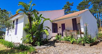 Scheuern: Viana do Castelo -Villa zu Scheuer-Amorosa der Nähe des Meeres