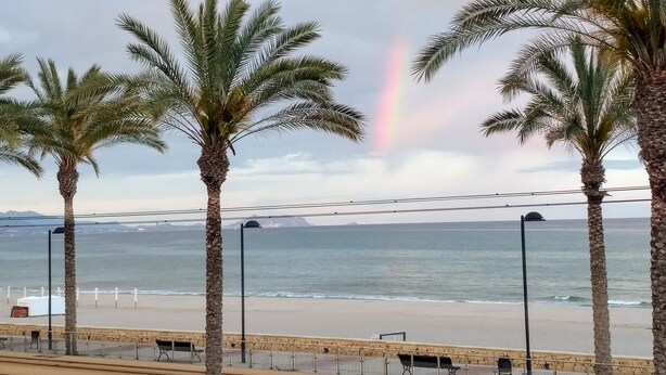A beach view with palm trees and a rainbow. - FANTASTIC LOFT APARTMENT ON THE BEACH WITH ALL SERVICES (WIFI, A / C) (Alicante)