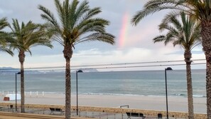 A beach view with palm trees and a rainbow.