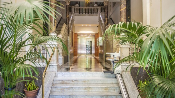 A grand staircase with marble steps and balustrades, flanked by lush green plants. - INNER CITY CENTER ON PASEO DE GRACIA, luxurious & spacious, family & friends    (Barcelona)